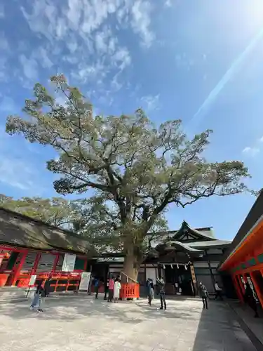 宇佐神宮のその他建物