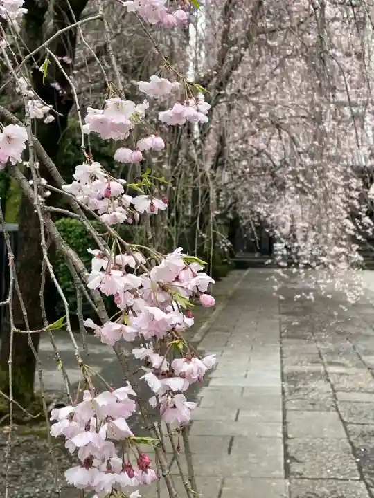 吉祥寺(東京都)