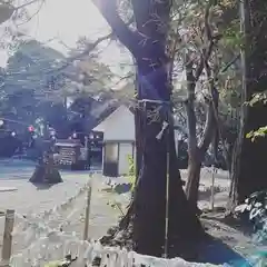 龍尾神社の自然