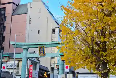 神田神社（神田明神）の鳥居