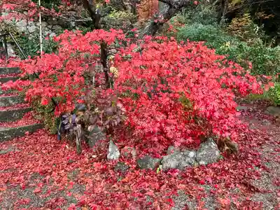 大国寺(兵庫県)
