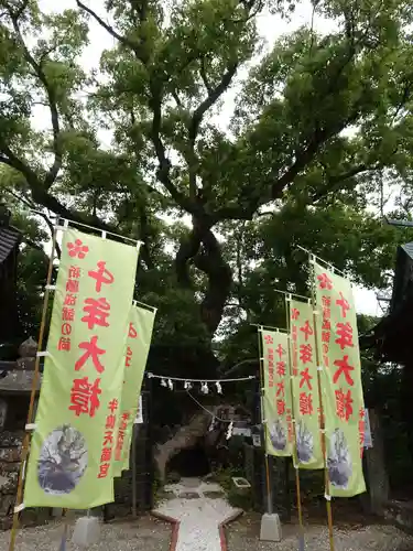 牛嶋天満宮の自然