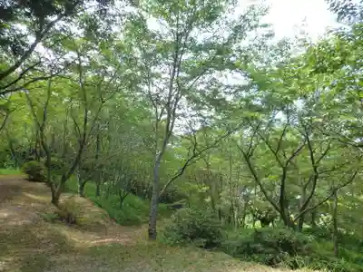 杵築神社(山口県)