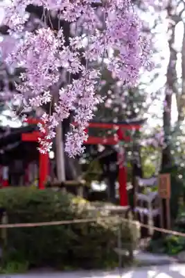 水火天満宮(京都府)