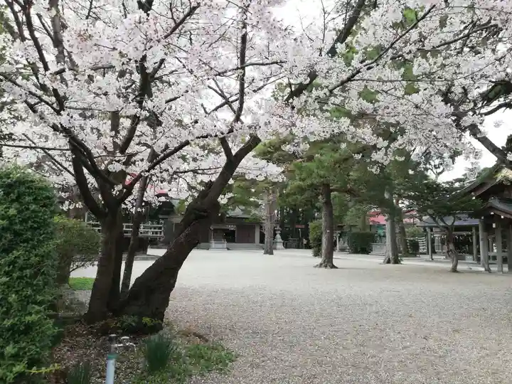 黒磯神社の自然