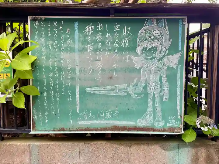 圓蔵寺(埼玉県)