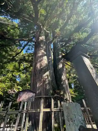戸隠神社中社(長野県)