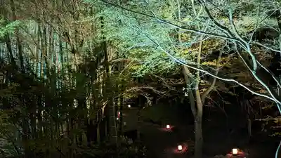 高台寺（高台寿聖禅寺・高臺寺）(京都府)