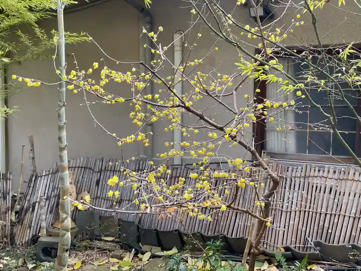 遠照山 光明寺(尼崎大仏)(兵庫県)