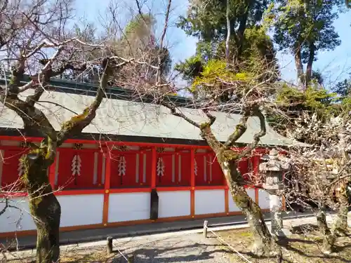 北野天満宮(京都府)