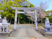千王神社の鳥居