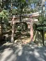 五社稲荷神社の鳥居