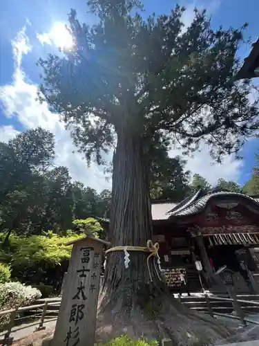北口本宮冨士浅間神社(山梨県)