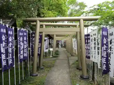 白金龍王社(愛知県)