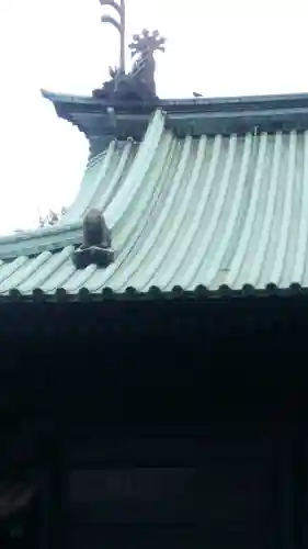 湯島聖堂の狛犬