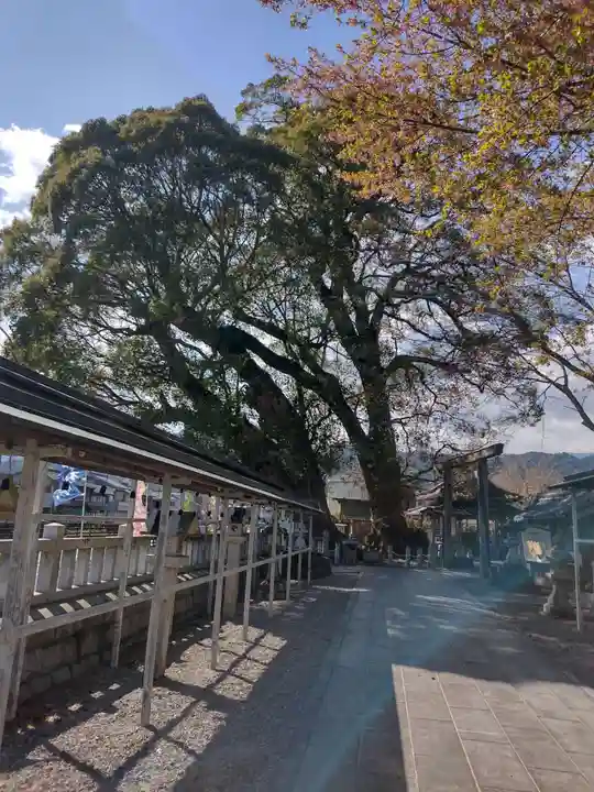 尾鷲神社(三重県)
