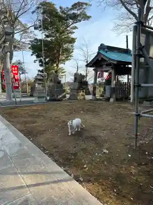 佐波波地祇神社(茨城県)