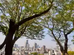 大満寺の景色