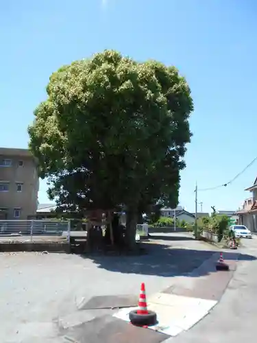 福島神社の自然