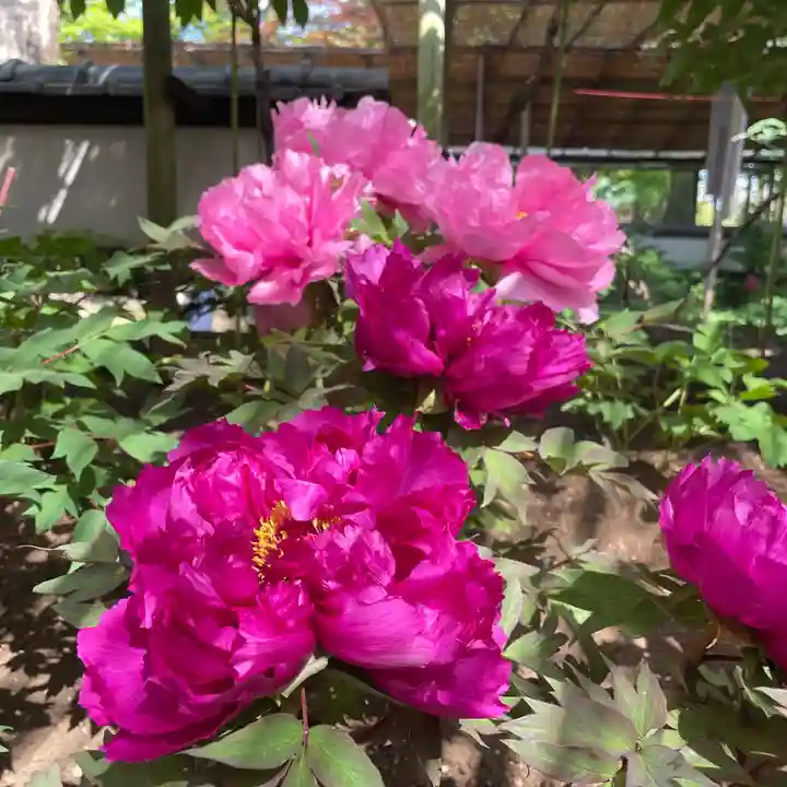 上野東照宮(東京都)