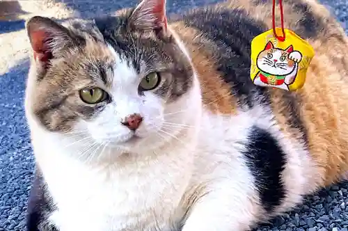 賀茂別雷神社(栃木県)