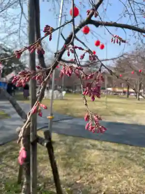 櫻岡大神宮の{uncategorized: "未分類", other: "その他", undefined: "問題あり", building: "その他建物", grave: "お墓", sacred_gate: "鳥居", guardian: "狛犬", statue: "像", buddha: "仏像", history: "歴史", nature: "自然", garden: "庭園", animal: "動物", pagoda: "塔", temizu: "手水舎", mountain_gate: "山門・神門", sanctuary: "本殿・本堂", subordinate: "末社・摂社", art: "芸術", scenery: "景色", jizo: "地蔵", ema: "絵馬", goshuin: "御朱印", omikuji: "おみくじ", items: "授与品その他", amulet: "お守り", goshuincho: "御朱印帳", eats: "食事", festival: "お祭り", votive_dance: "神楽", shichigosan: "七五三参", wedding: "結婚式", experience: "体験その他", initially: "初詣", around: "周辺", anti_infection: "感染症対策"}