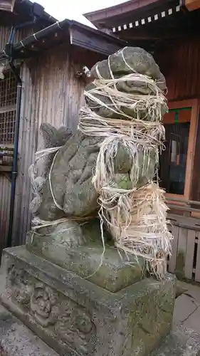 金刀比羅神社の狛犬