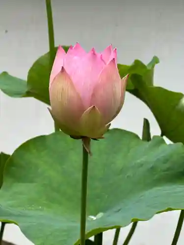 建長寺(神奈川県)