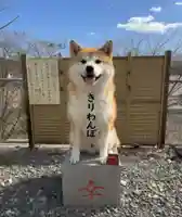 鹿角八坂神社の御朱印