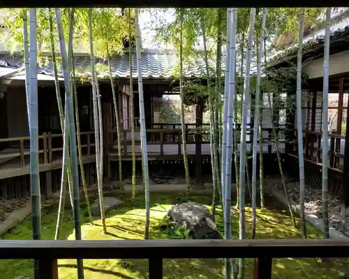 妙顯寺（妙顕寺）(京都府)