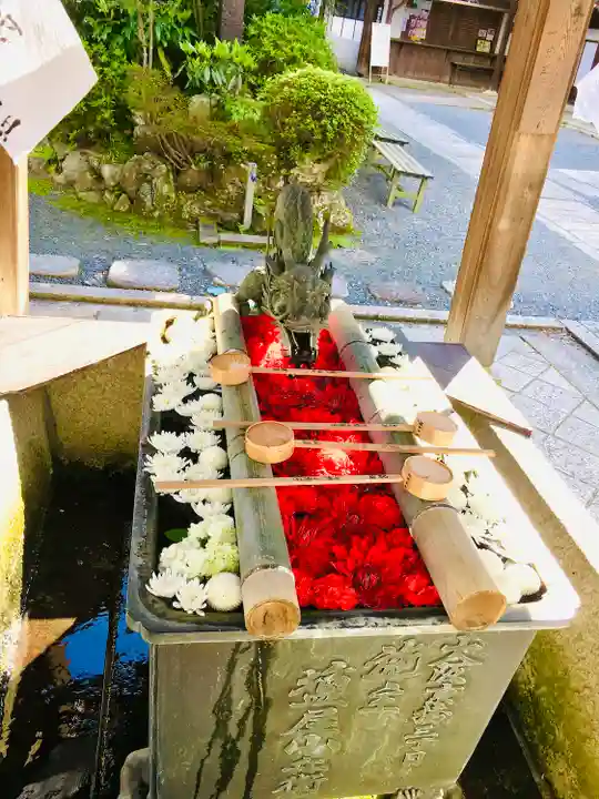 柳谷観音 楊谷寺(京都府)