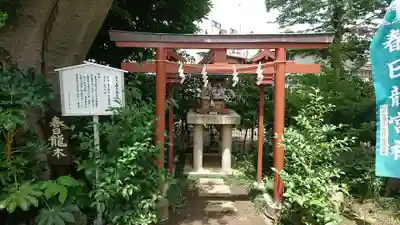 春日神社の鳥居