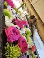 鳩森八幡神社(東京都)