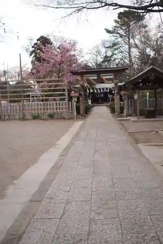 熊野神社の鳥居