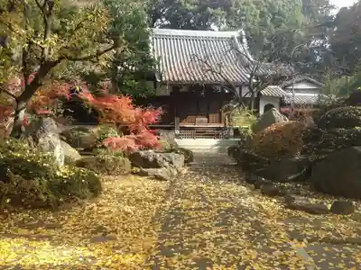 妙安寺のその他建物