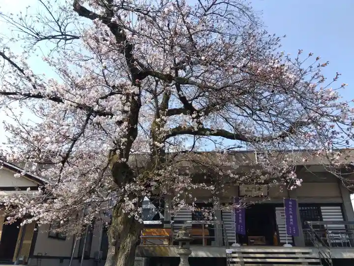 妙経寺(福井県)