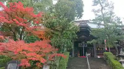 岩殿山安楽寺(吉見観音)の本殿・本堂