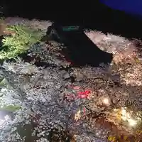 楽法寺(雨引観音)の自然