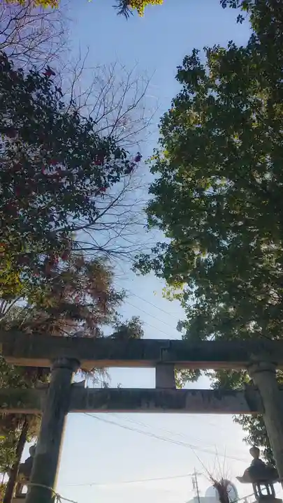 十二所社の鳥居