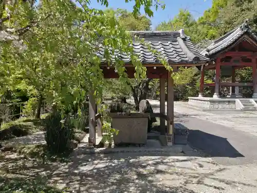 安岡寺の手水