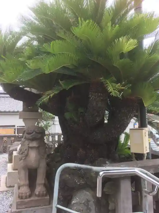 叶神社 (西叶神社)のその他建物