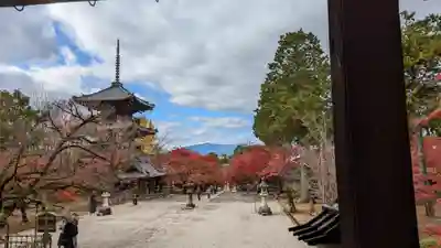 真正極楽寺(真如堂)(京都府)