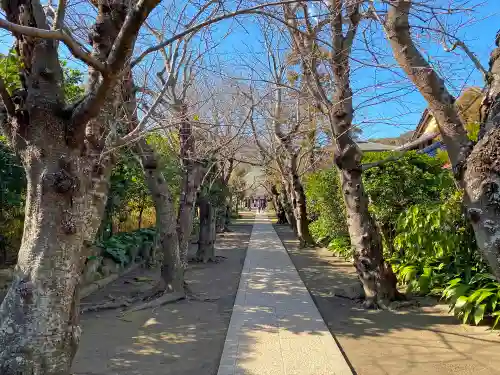 極楽寺（霊鷲山感應院極楽律寺）の景色