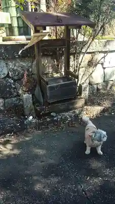 大光坊(山梨県)