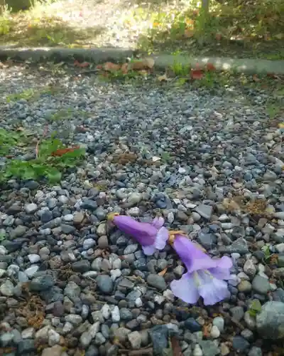 豊國神社(愛知県)