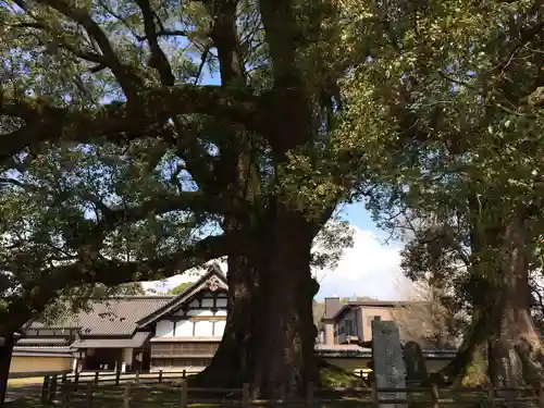 善導寺(福岡県)