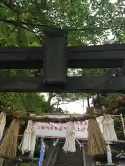 師岡熊野神社の鳥居