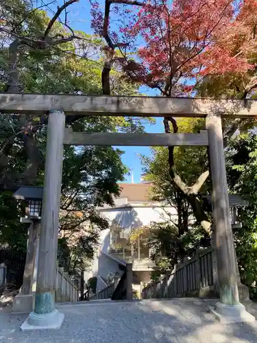 伊勢山皇大神宮の鳥居