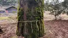 那岐神社(鳥取県)