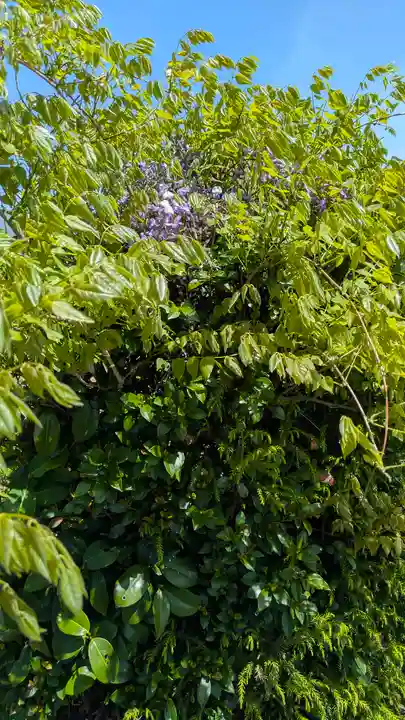 立圓寺(滋賀県)